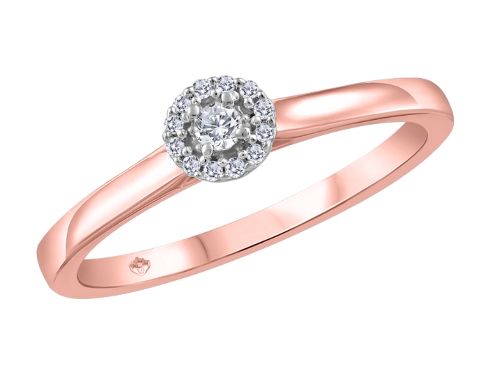 Fana Delicate Oval Shaped Halo And Pave Band Engagement Ring | Reed & Sons  | Sedalia, MO
